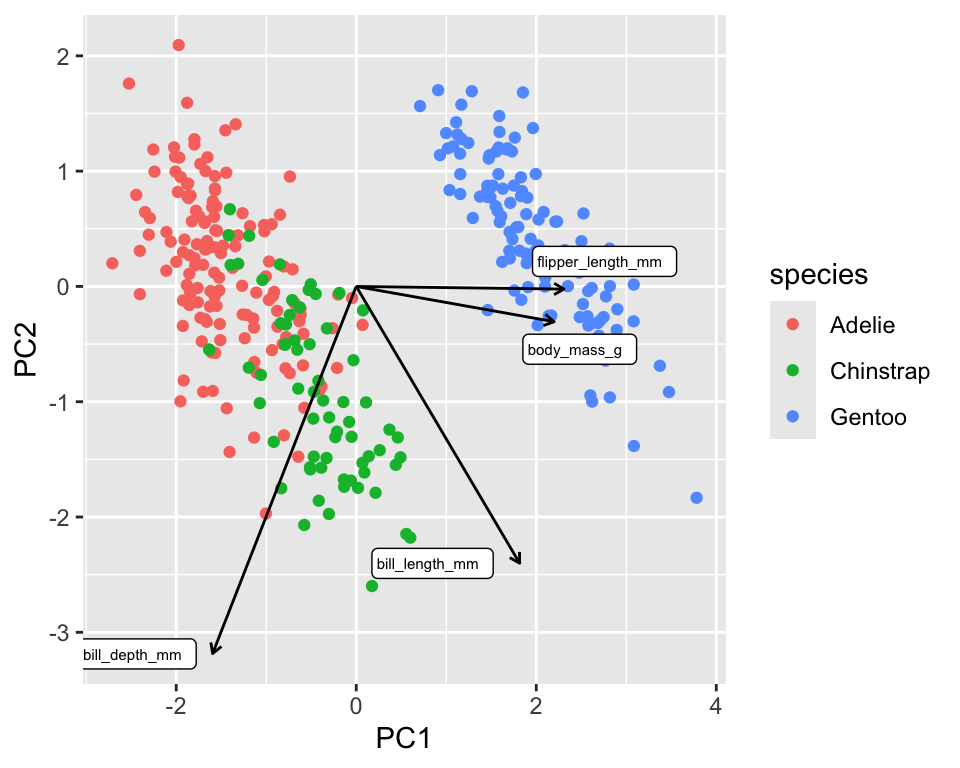 Biplot of the penguin dataset. The loadings are shown as arrows and the original variables as labels. For clarity, loadings were multipled by 4