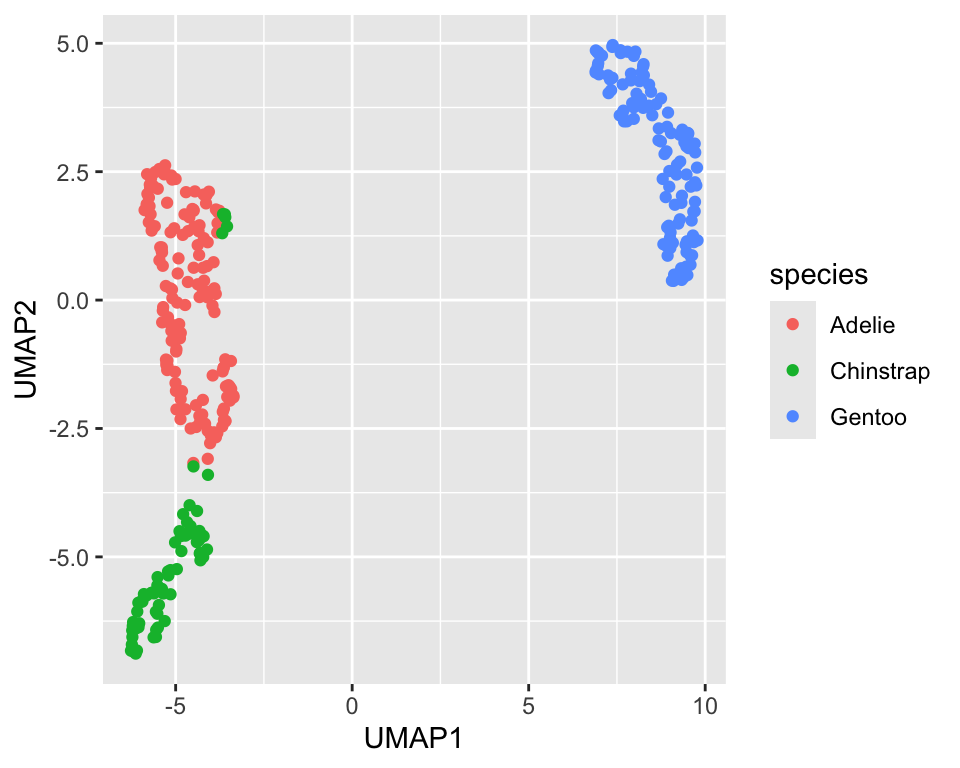 UMAP projection of the penguin dataset onto two dimensions (default settings)