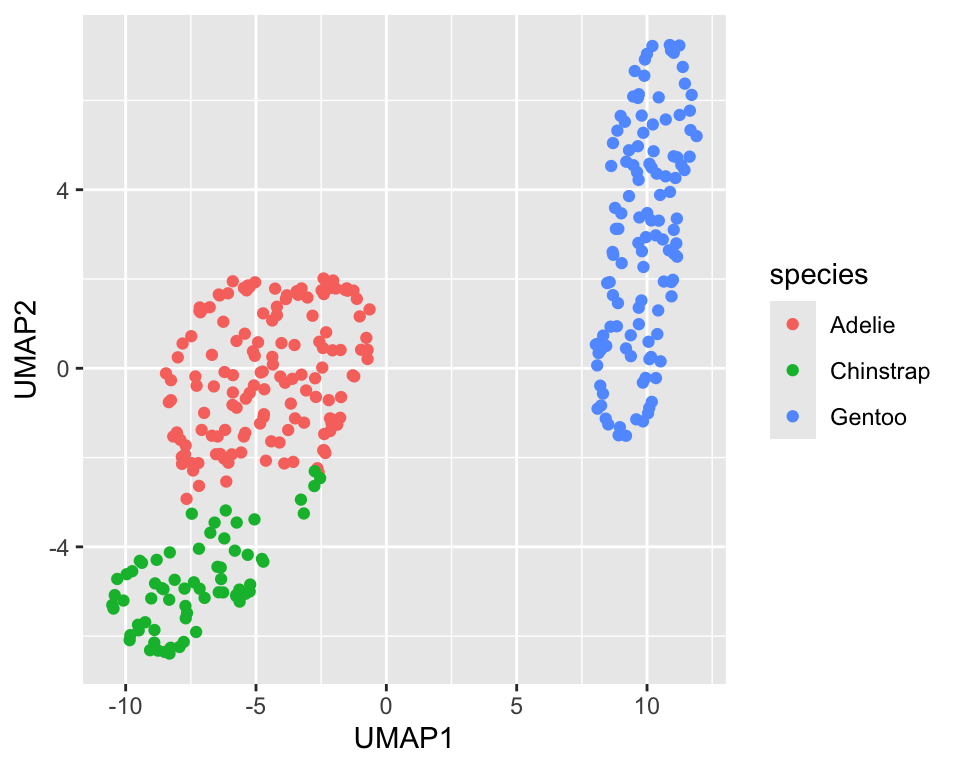 UMAP projection of the penguin dataset onto two dimensions (`min_dist=0.5`)