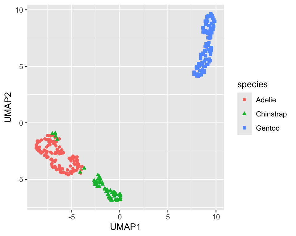 UMAP projection of the penguin dataset onto two dimensions (default settings)