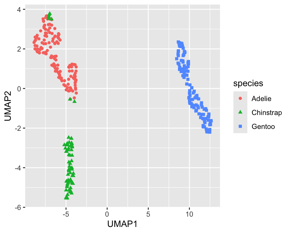 UMAP projection of the penguin dataset onto two dimensions (default settings)